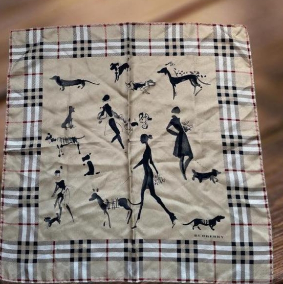 Burberry Accessories - Burberry scarve